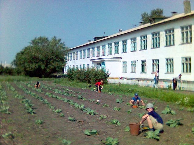 Фотография школы.